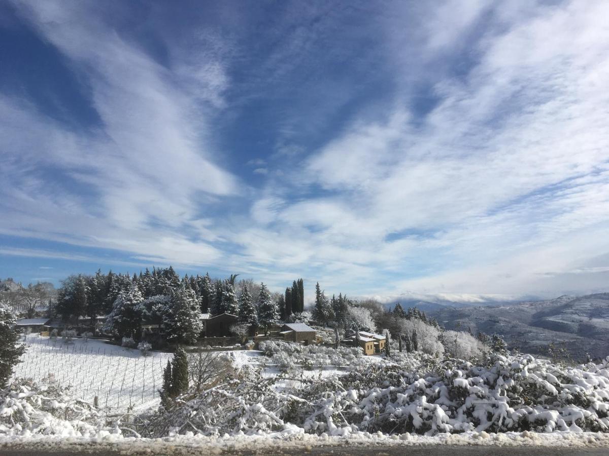 Casa Ercole Farm Stay Greve in Chianti Εξωτερικό φωτογραφία