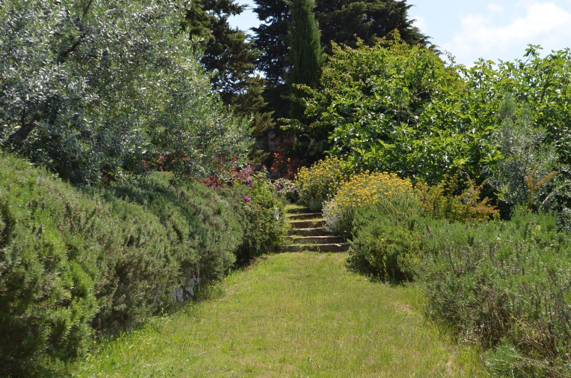 Casa Ercole Farm Stay Greve in Chianti Εξωτερικό φωτογραφία