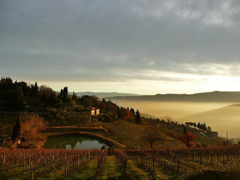 Casa Ercole Farm Stay Greve in Chianti Εξωτερικό φωτογραφία