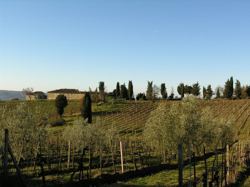 Casa Ercole Farm Stay Greve in Chianti Εξωτερικό φωτογραφία