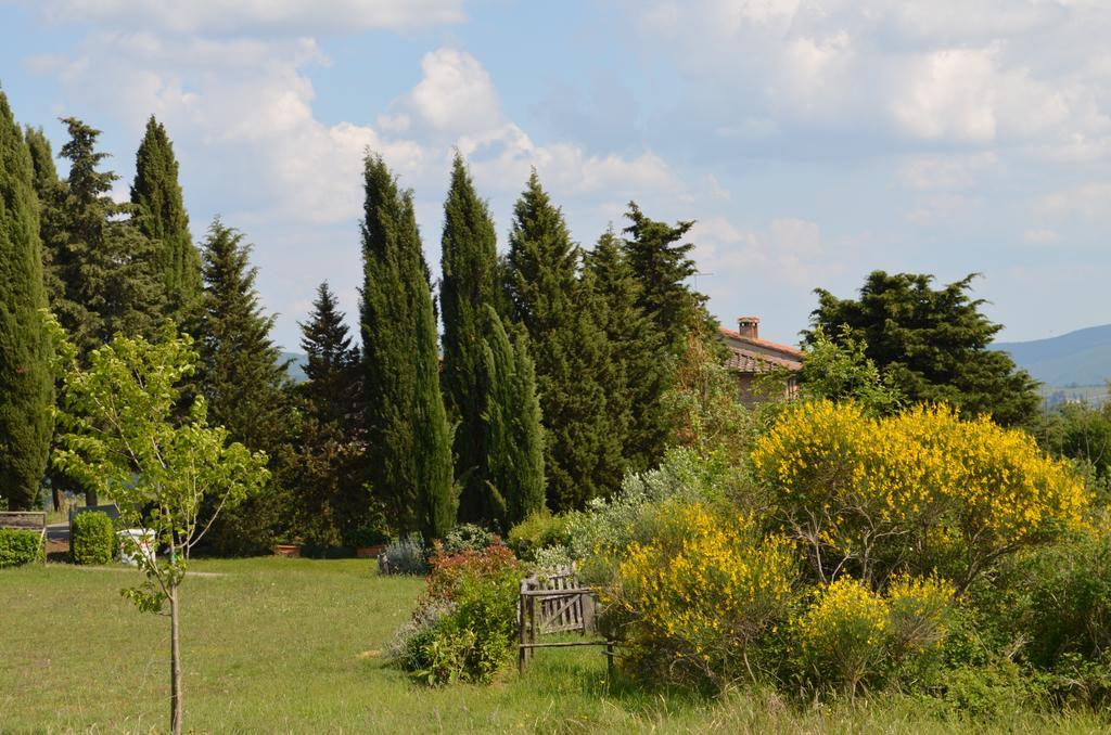 Casa Ercole Farm Stay Greve in Chianti Εξωτερικό φωτογραφία
